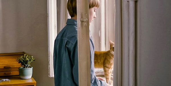 strangelittlecat
