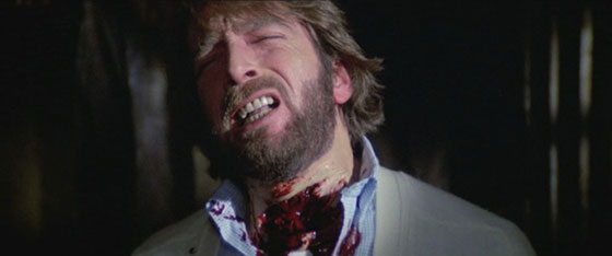 THBTC-Fulci