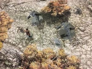 conan-nordheim-4