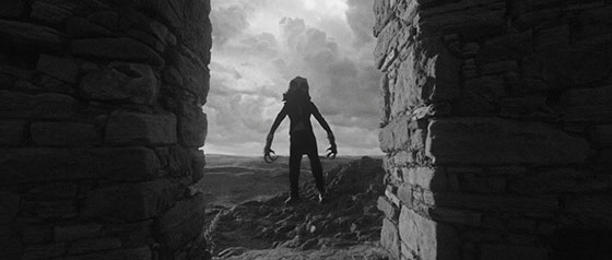 The-Black-Gloves-WEB6