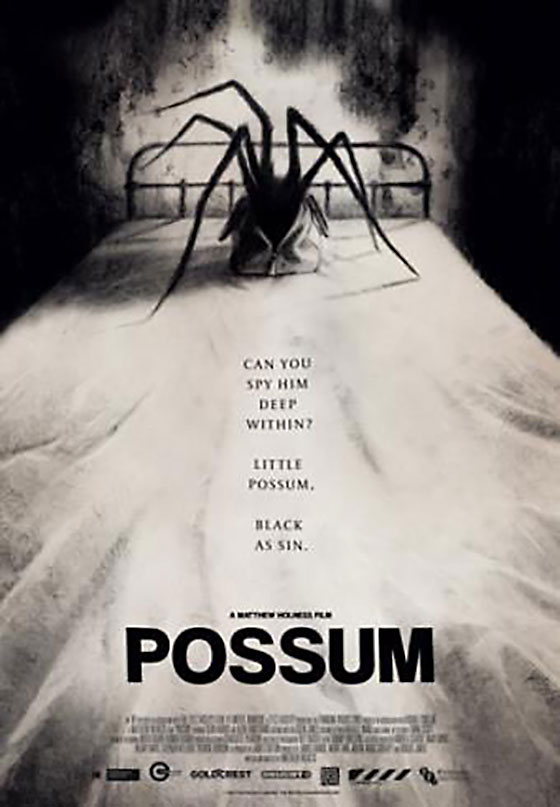 possum-poster