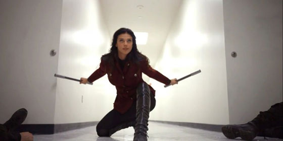 shield-205