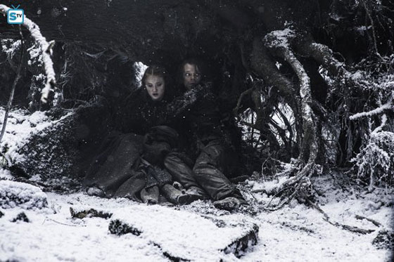 got-601-3