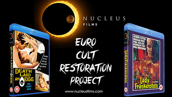 euro-cult-restoration-project-image