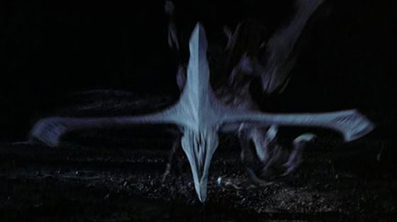 bioraptor-pitch-black