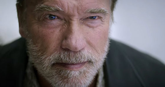 arnold-schwarzenegger-aftermath