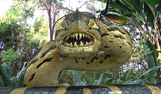 piranhaconda-image