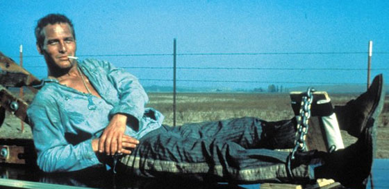 Cool-Hand-Luke