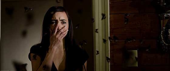STEPHANIE-MOTHS