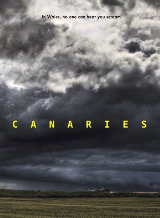 canaries-poster