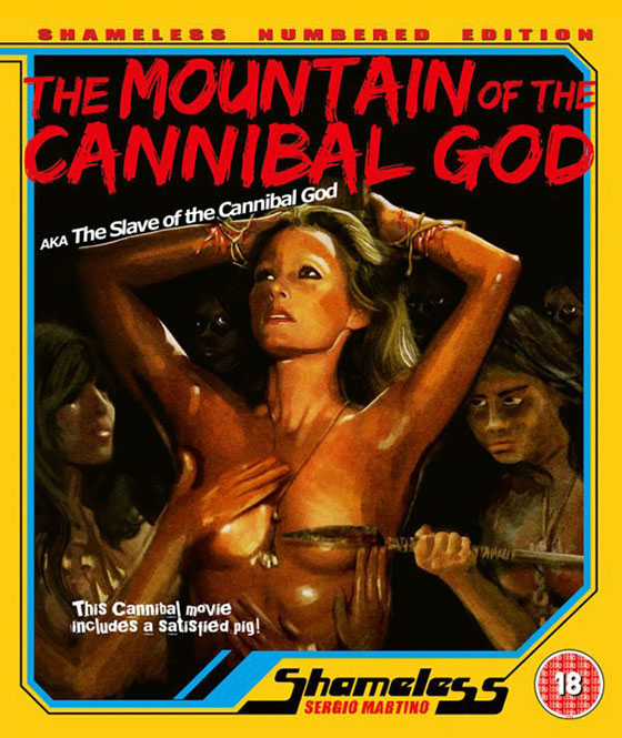 MOUNTAIN-2D-PACKSHOT-600x712