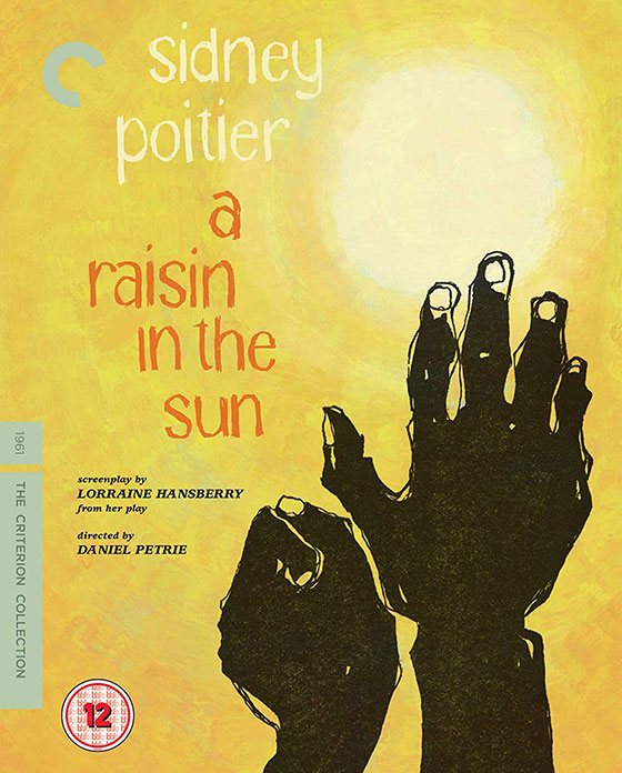 raisin-sun-blu-cover