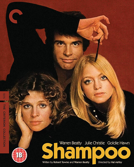 shampoo-blu
