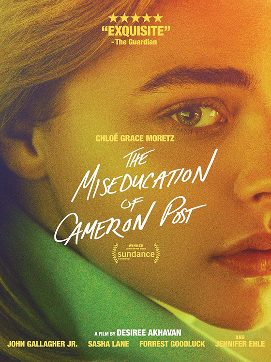 cameron-post-dvd-cover