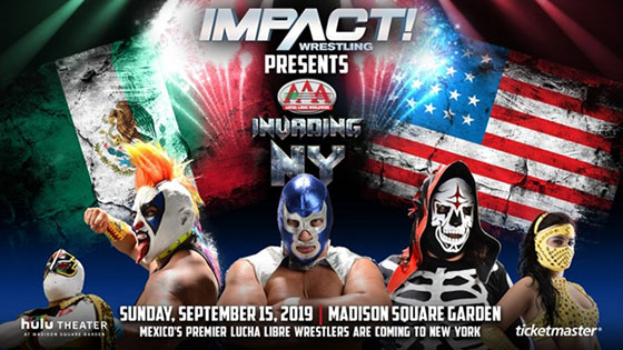 AAA-Impact-Header